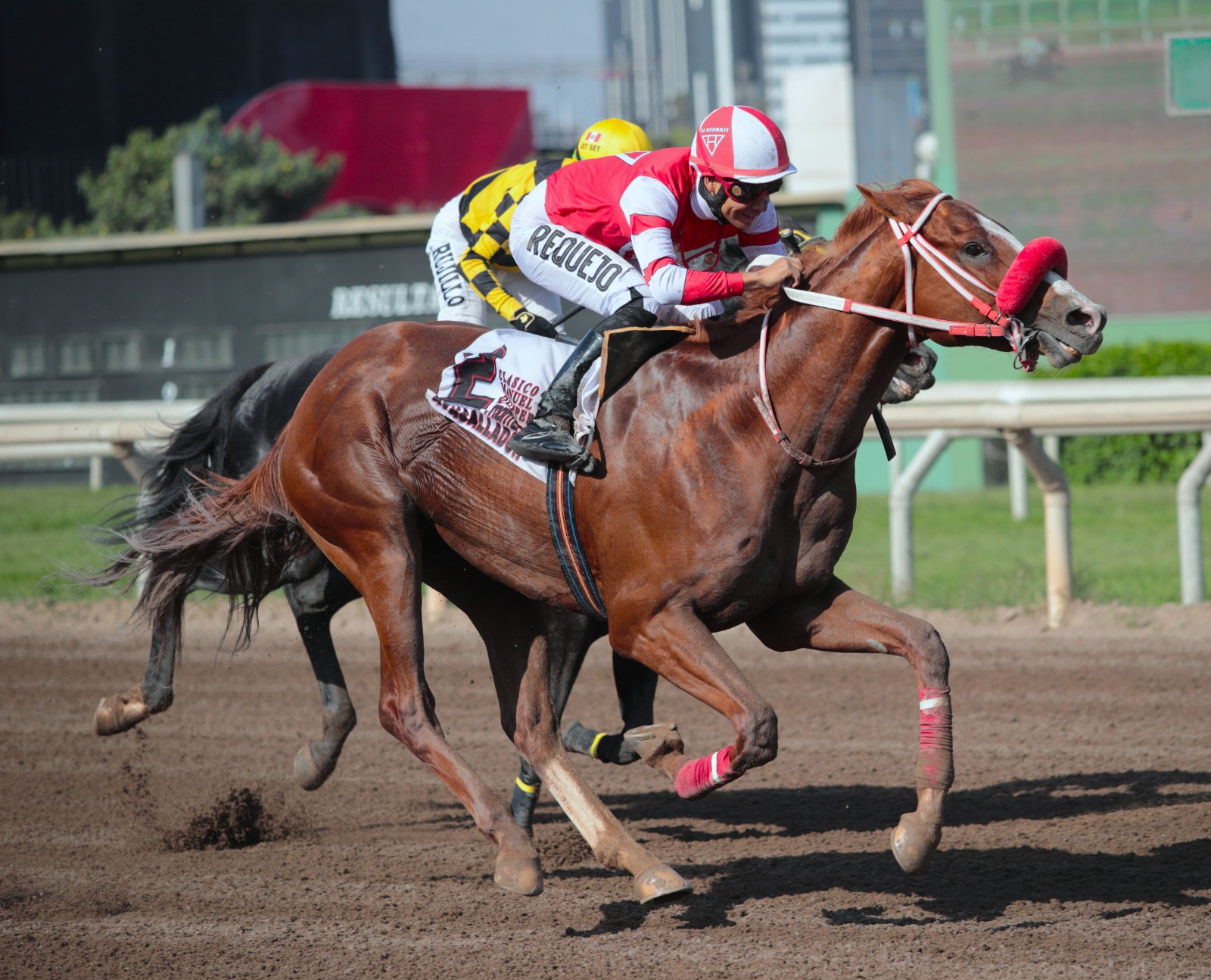 Foto: Julio Villanueva - Renzo Ramos F.D.