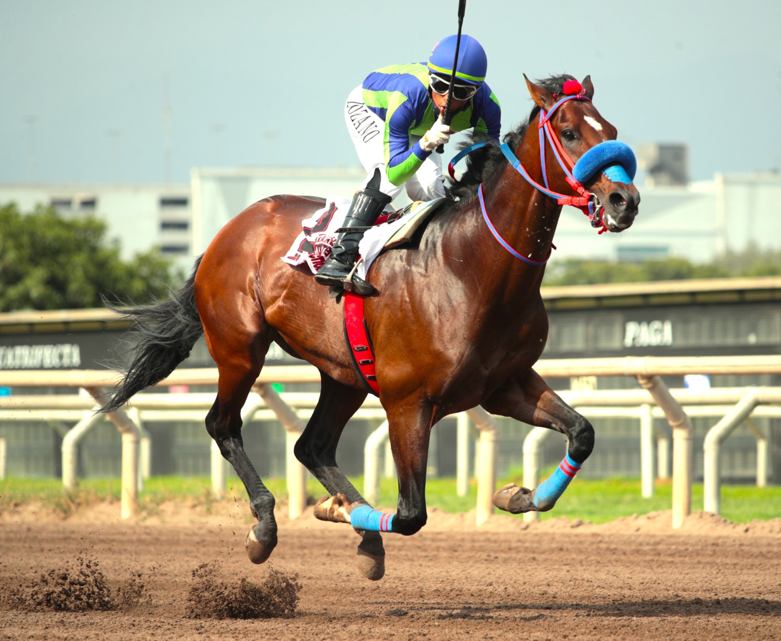 Foto: Julio Villanueva - Renzo Ramos F.D.