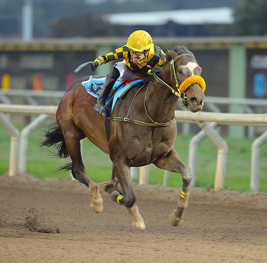  Foto: Julio Villanueva - Renzo Ramos F.D.