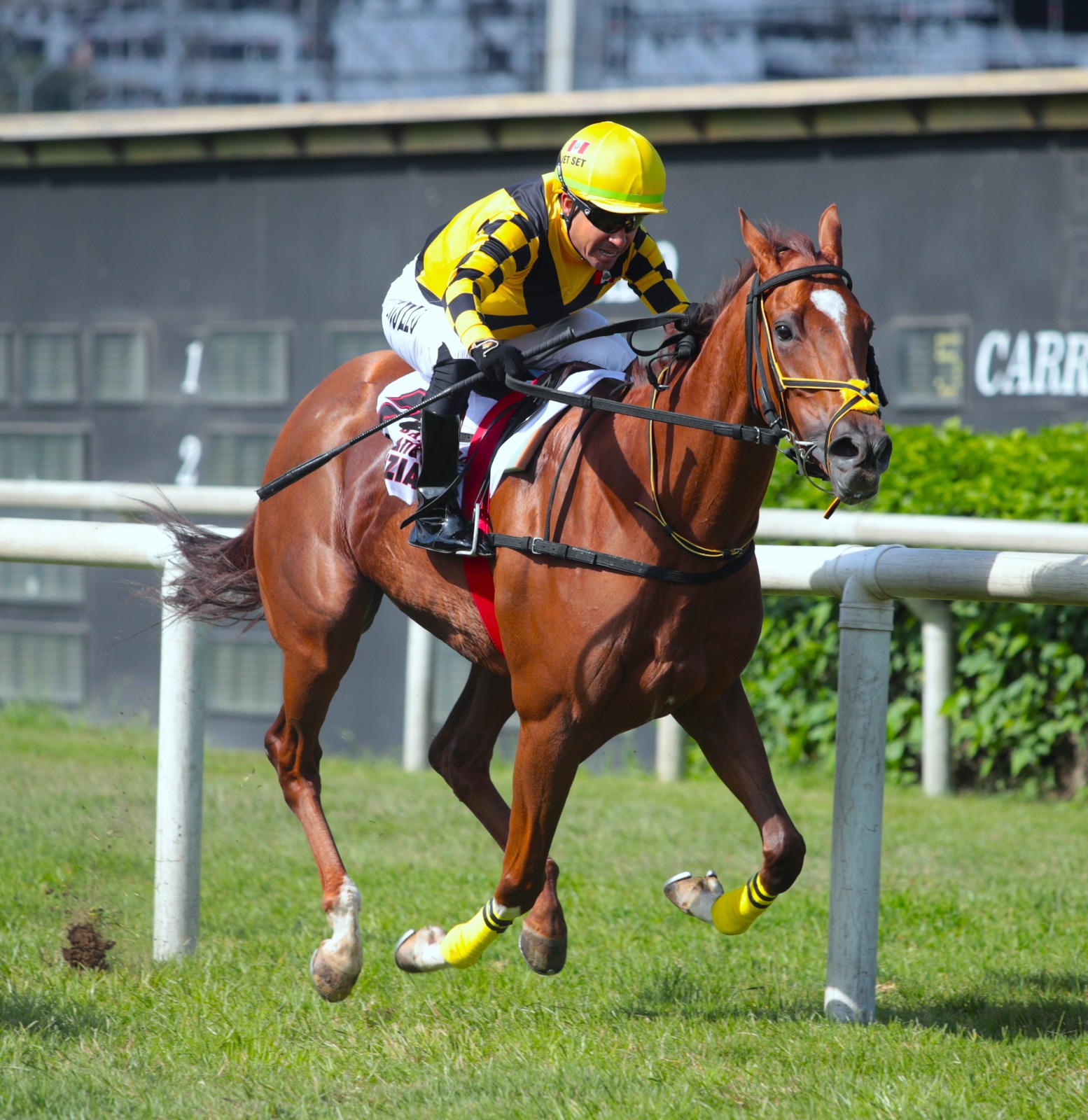 Foto: Julio Villanueva - Renzo Ramos F.D.