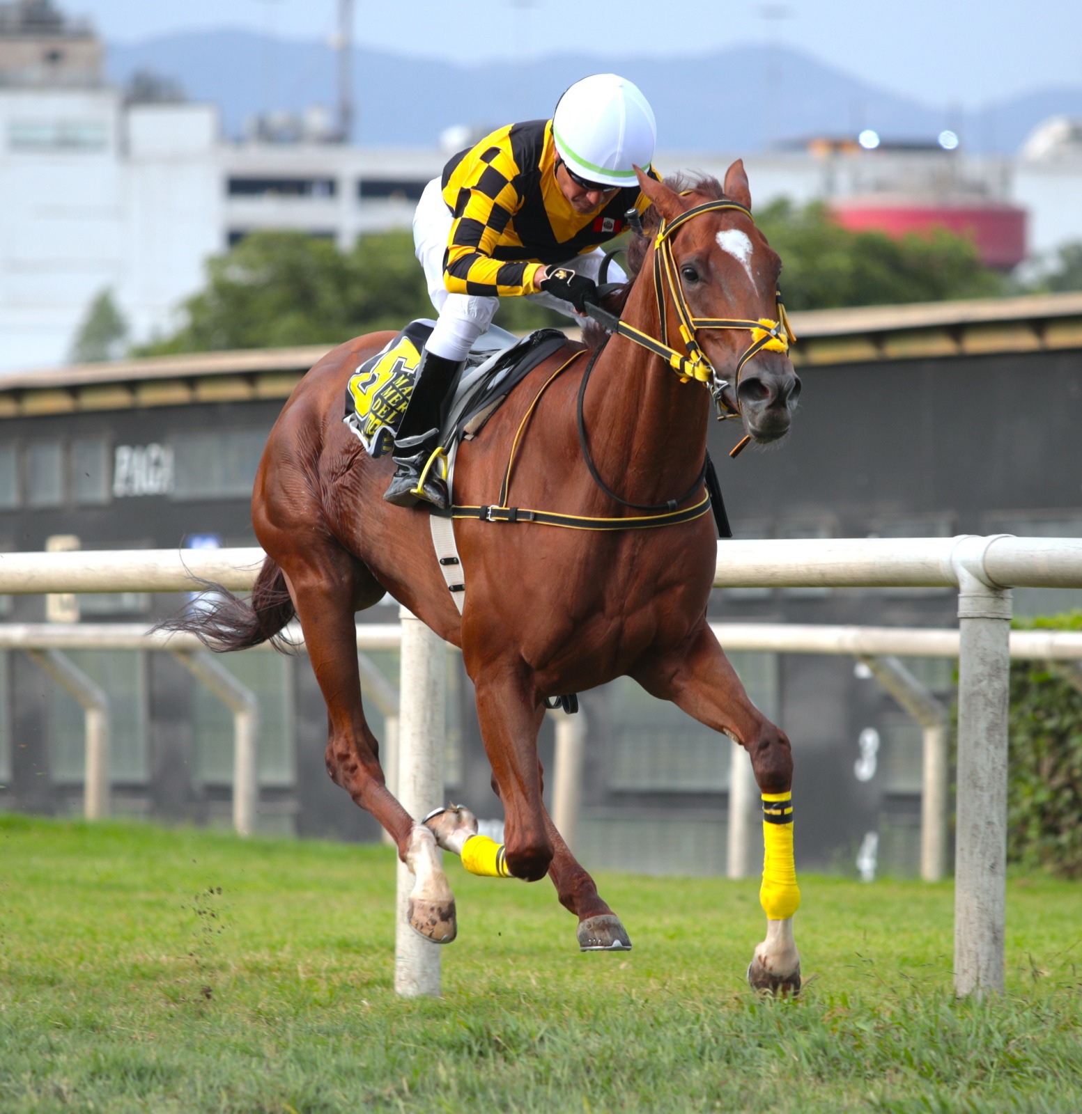  Foto: Julio Villanueva - Renzo Ramos F.D.