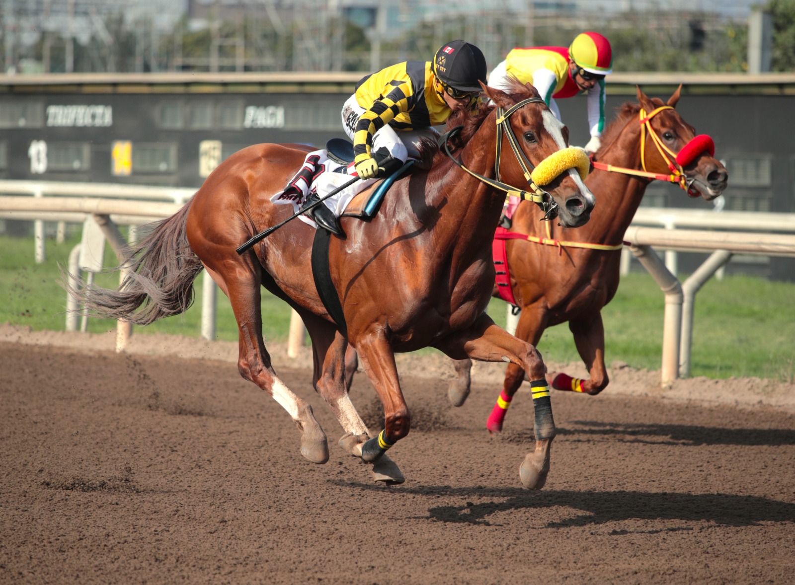 Foto: Julio Villanueva - Renzo Ramos F.D.