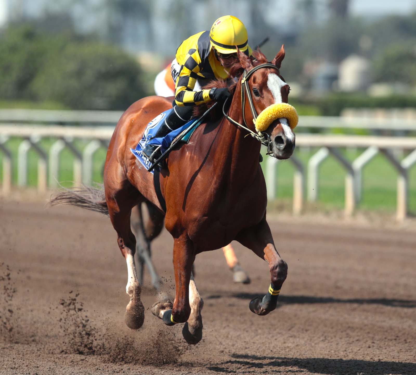 Foto: Julio Villanueva - Renzo Ramos F.D.