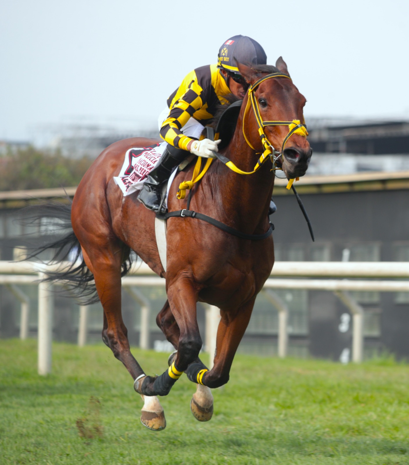 Foto: Julio Villanueva - Renzo Ramos F.D.