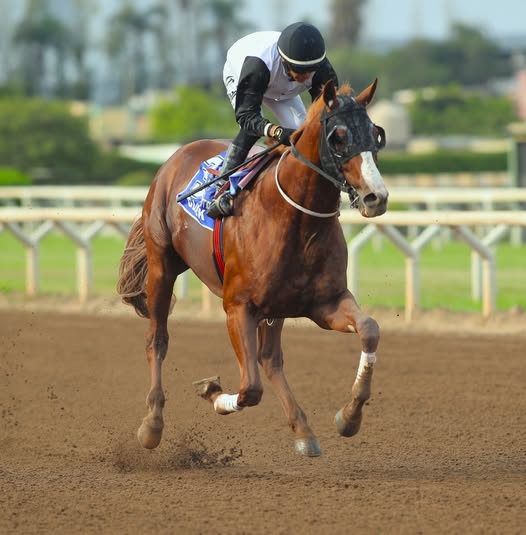 Foto: Julio Villanueva - Renzo Ramos F.D.