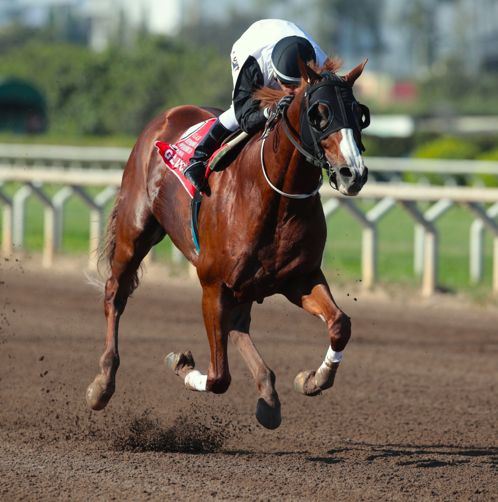  Foto: Julio Villanueva - Renzo Ramos F.D.