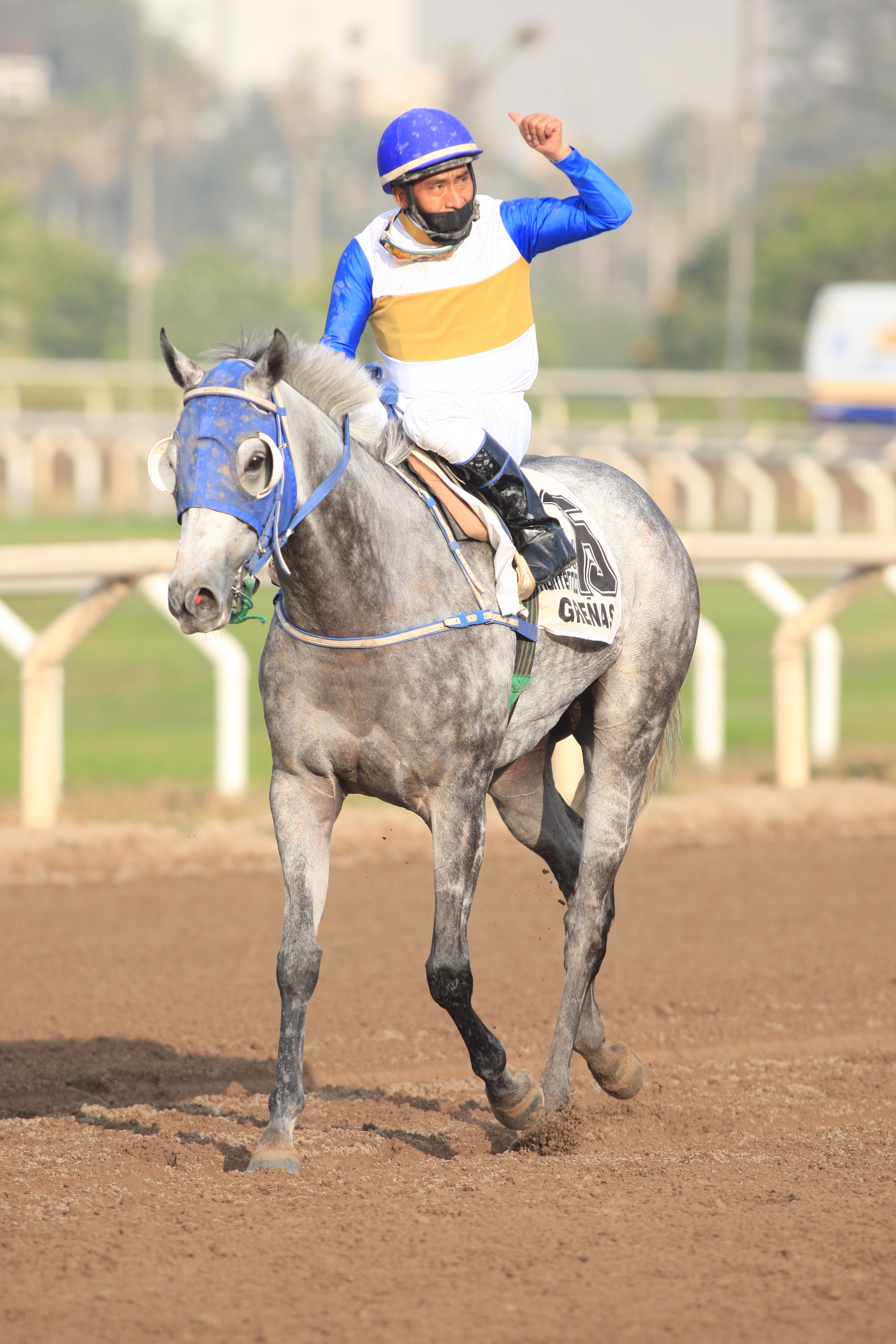  Foto: Julio Villanueva - Renzo Ramos F.D.