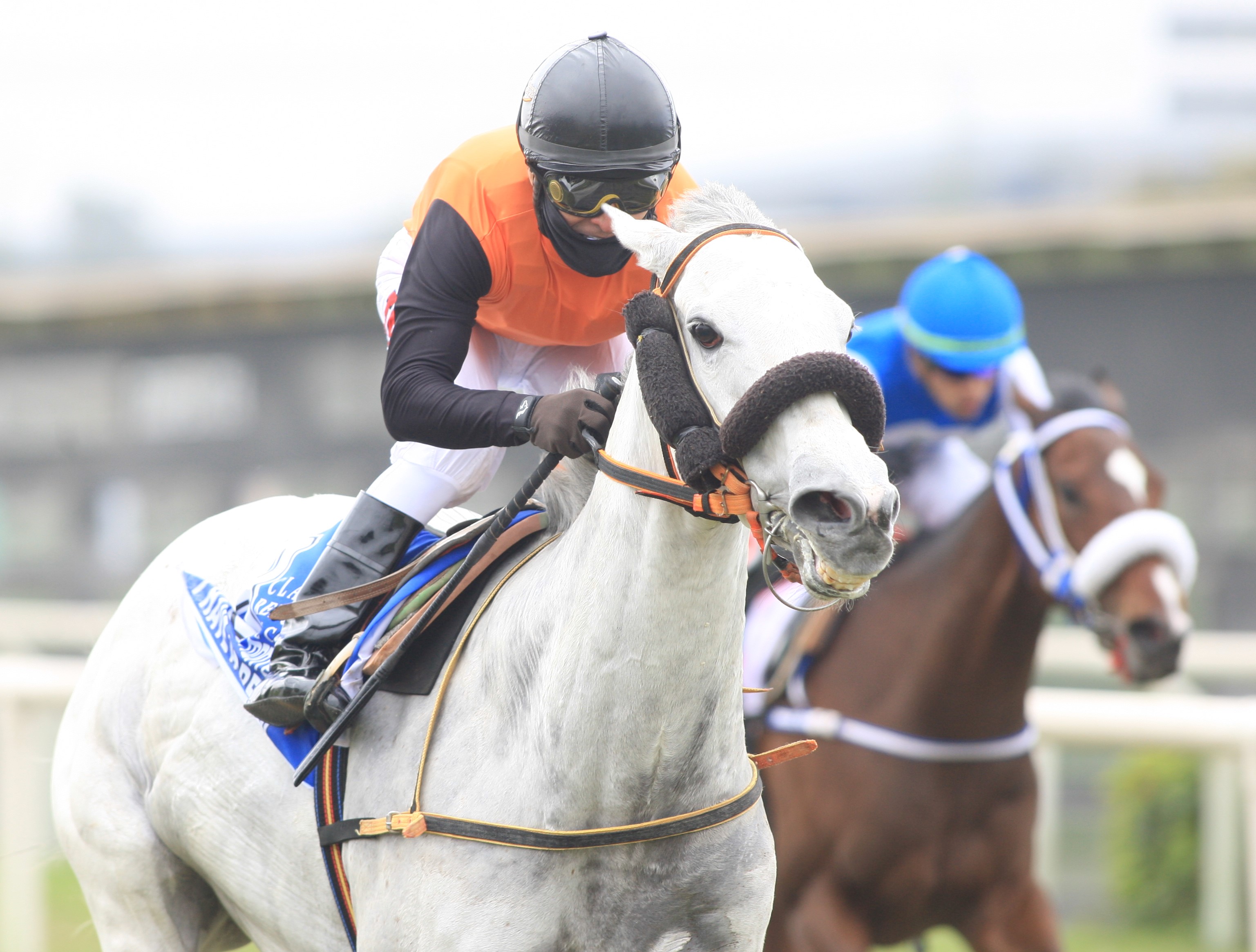  Foto: Julio Villanueva - Renzo Ramos F.D.