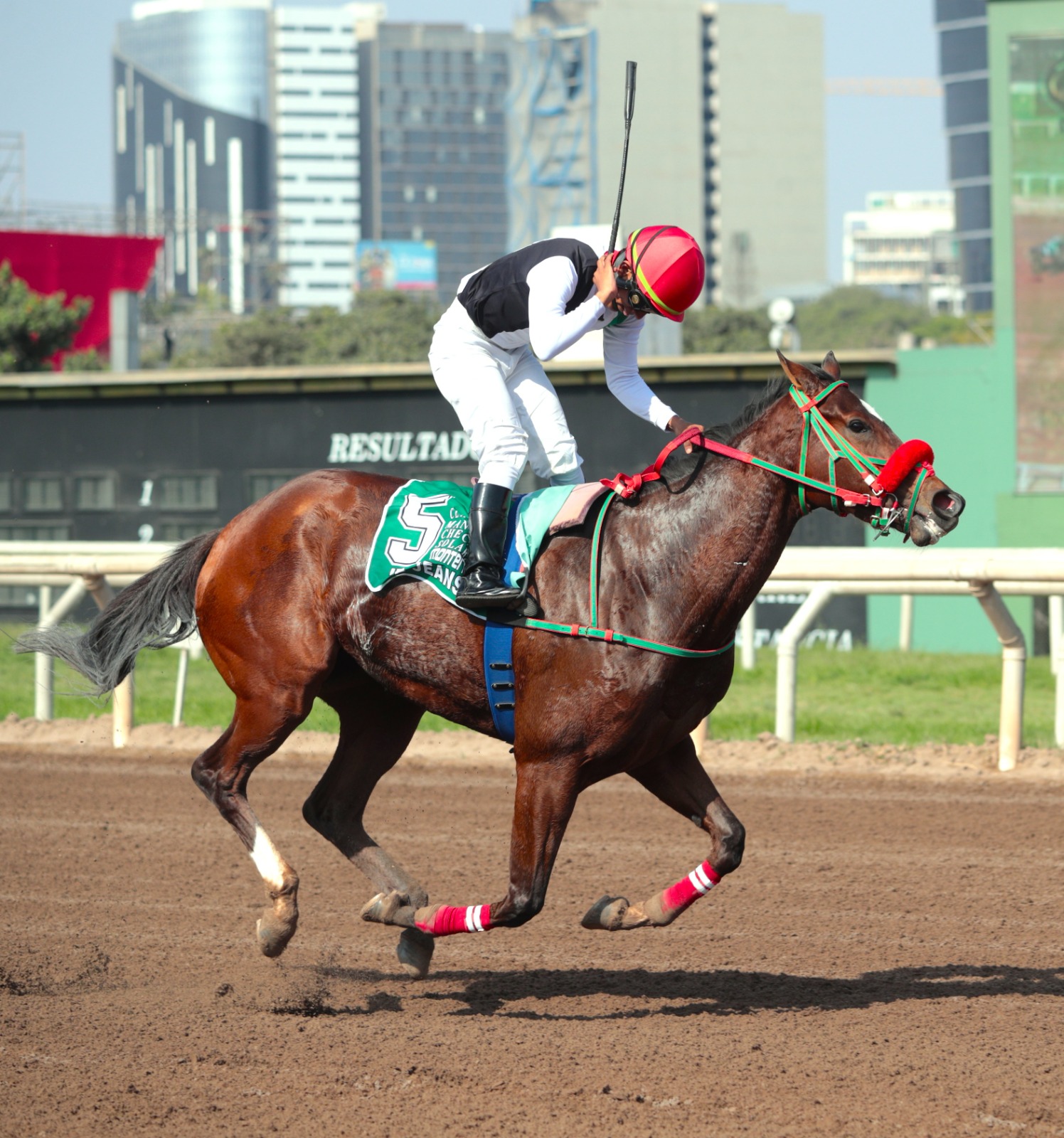 Foto: Julio Villanueva - Renzo Ramos F.D.