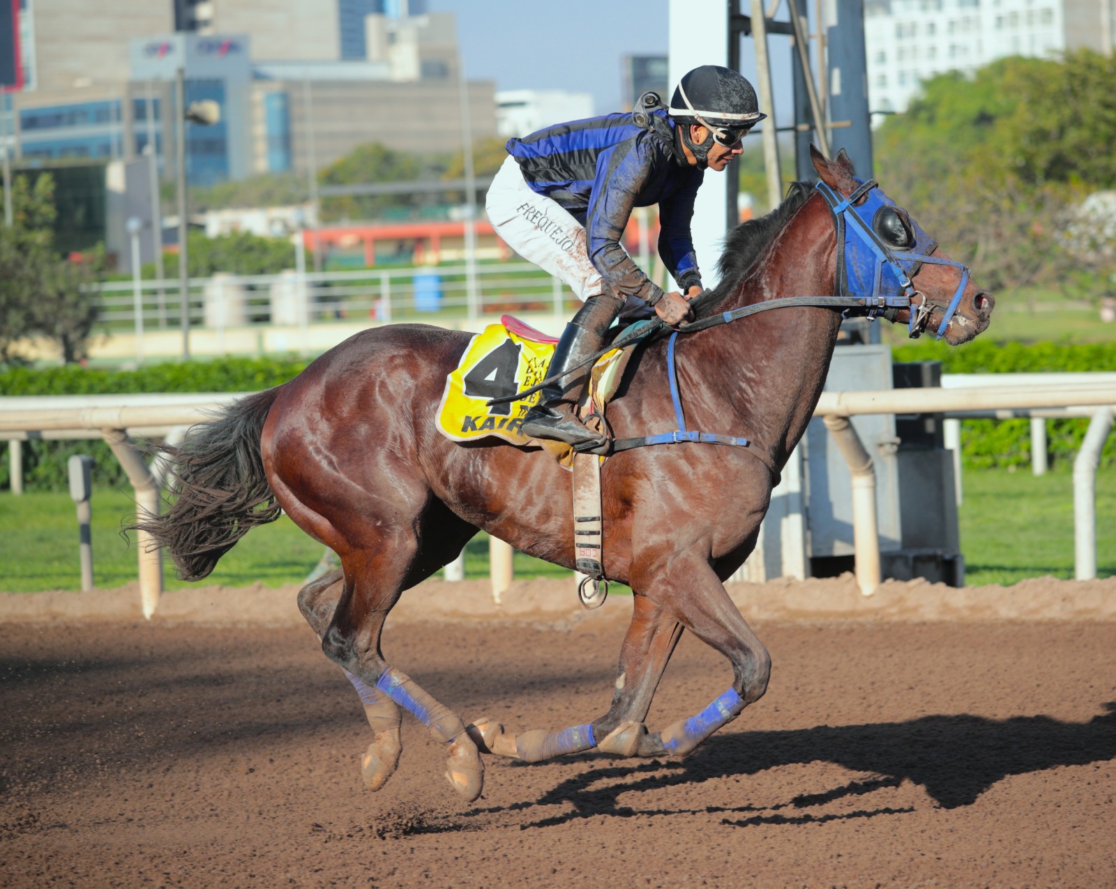 Foto: Julio Villanueva - Renzo Ramos F.D.