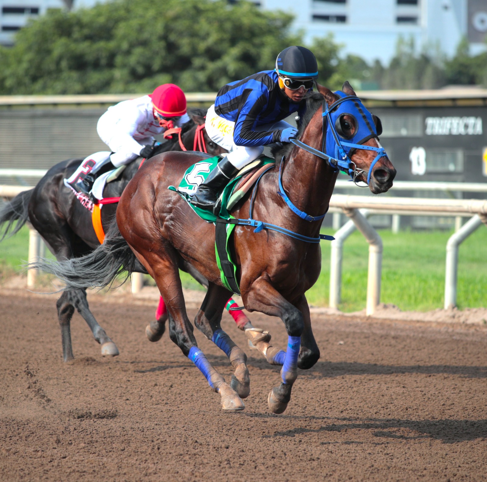  Foto: Julio Villanueva - Renzo Ramos F.D.