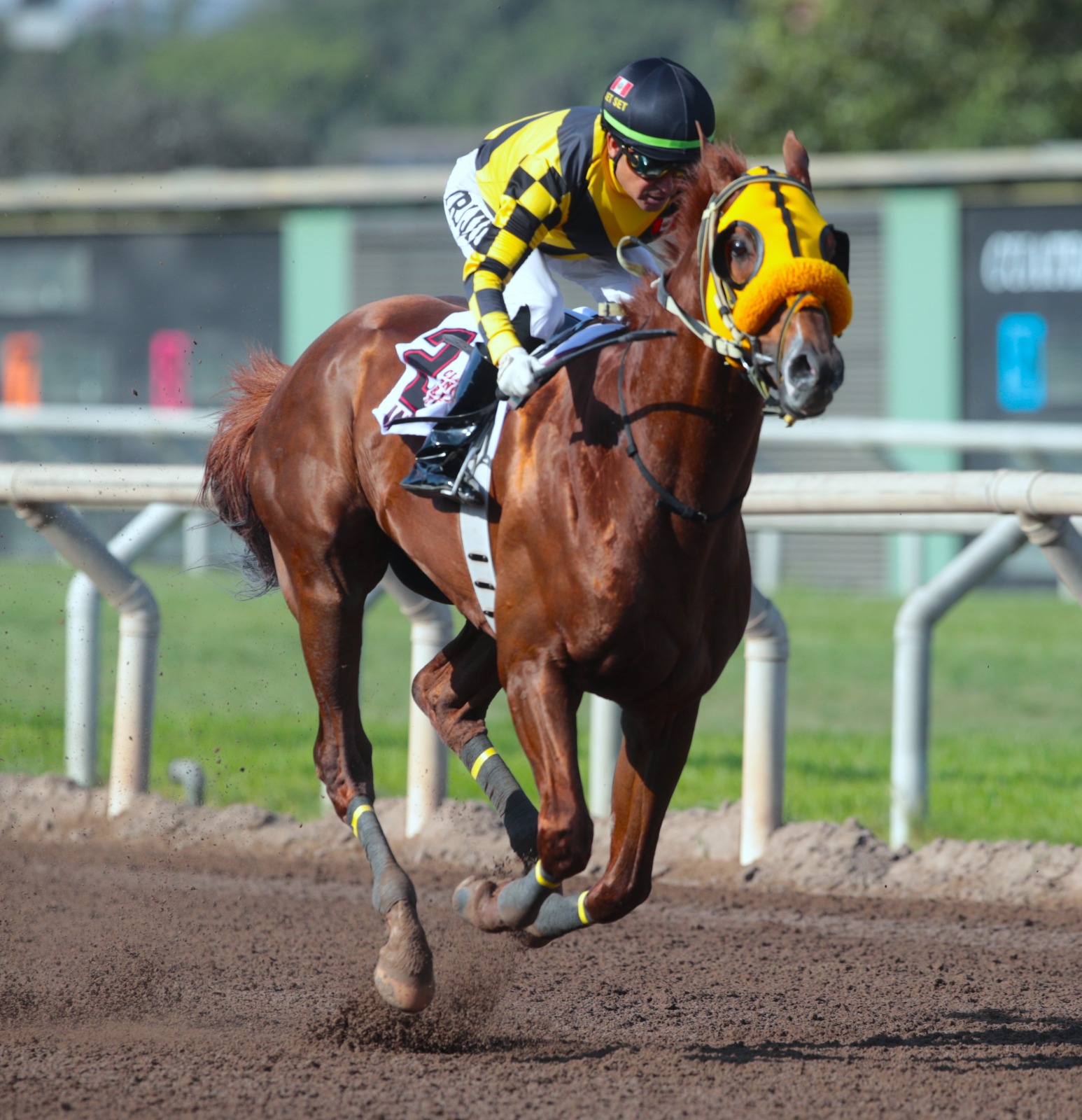 Foto: Julio Villanueva - Renzo Ramos F.D.