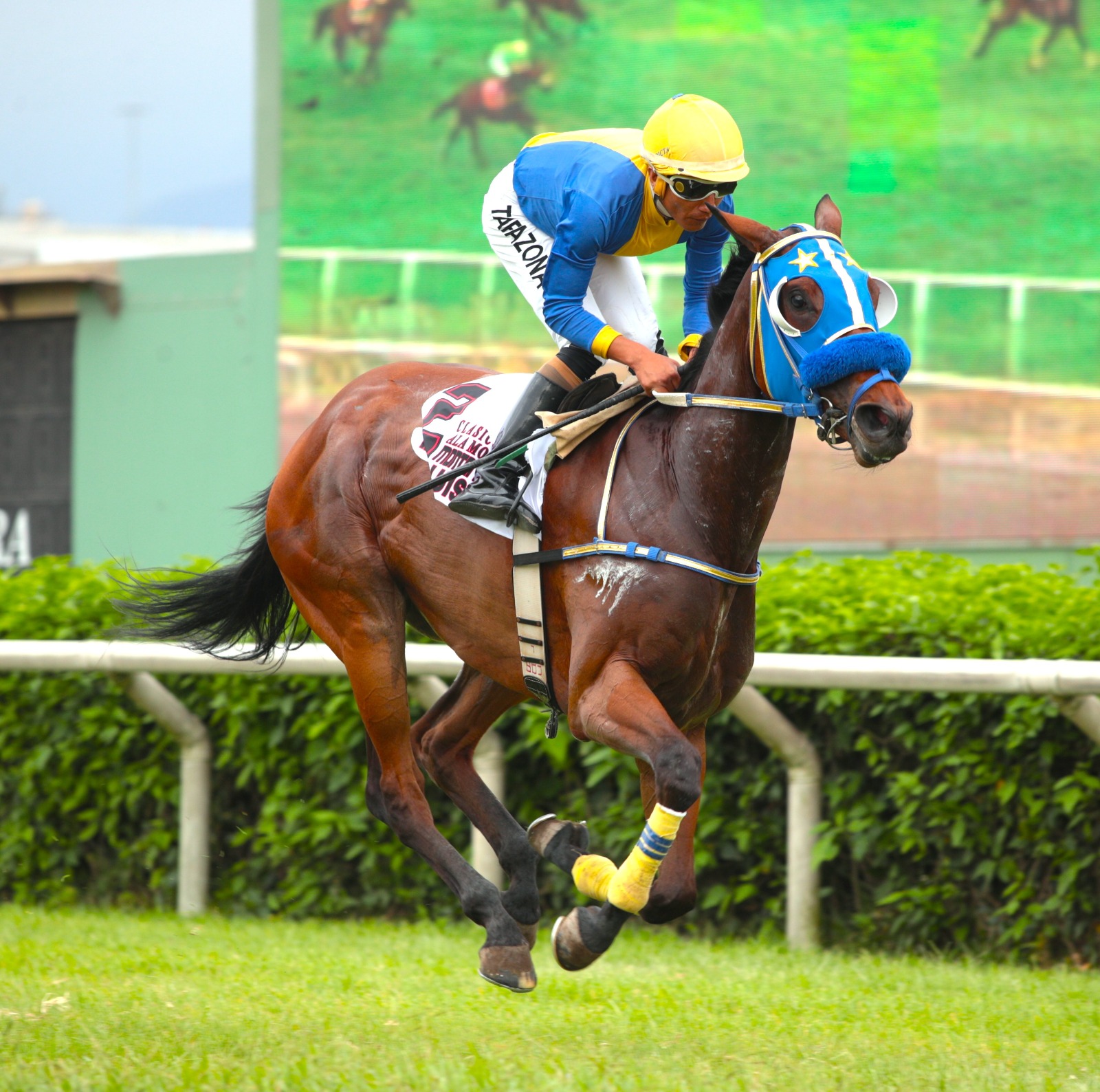  Foto: Julio Villanueva - Renzo Ramos F.D.