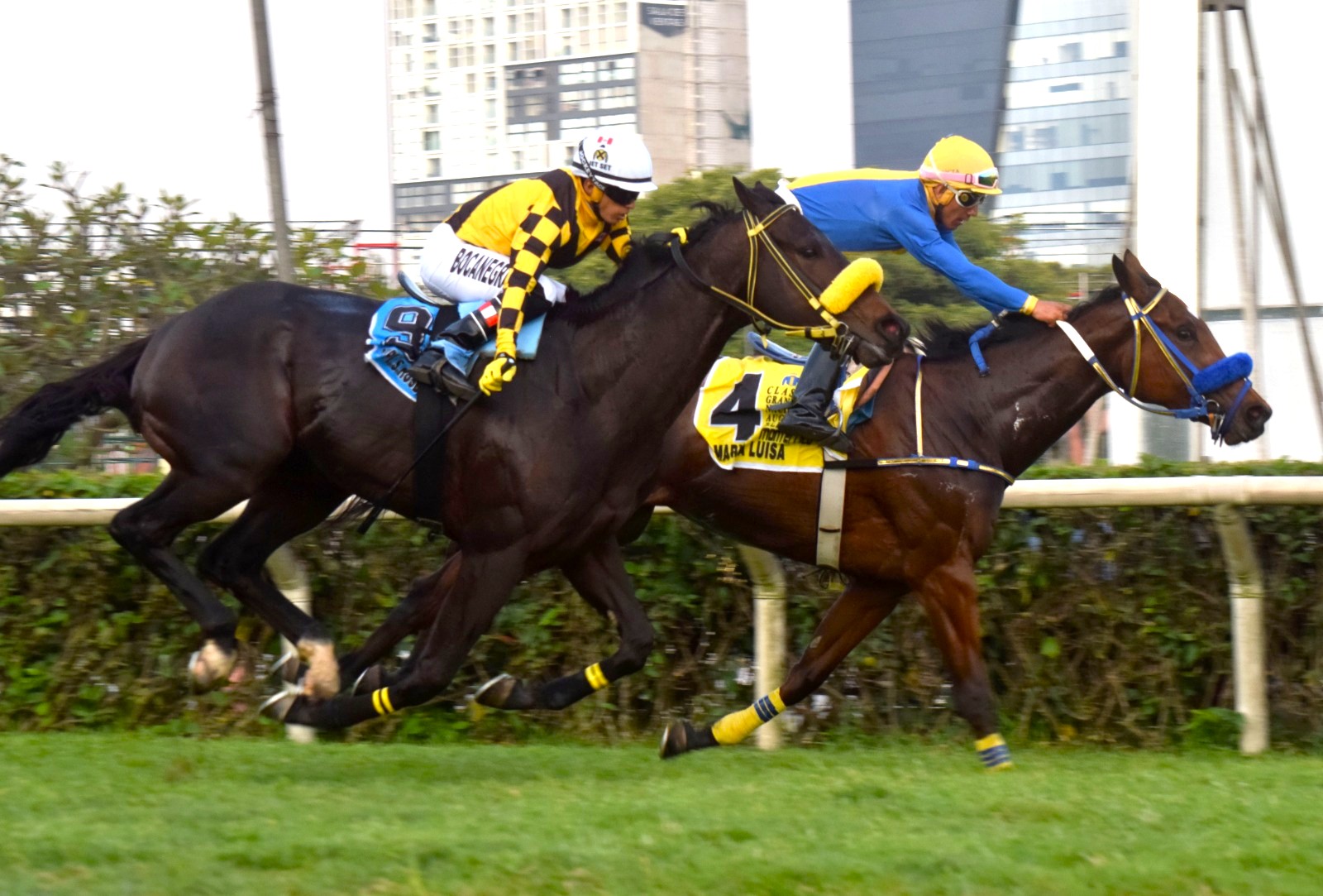 Foto: Julio Villanueva - Renzo Ramos F.D.