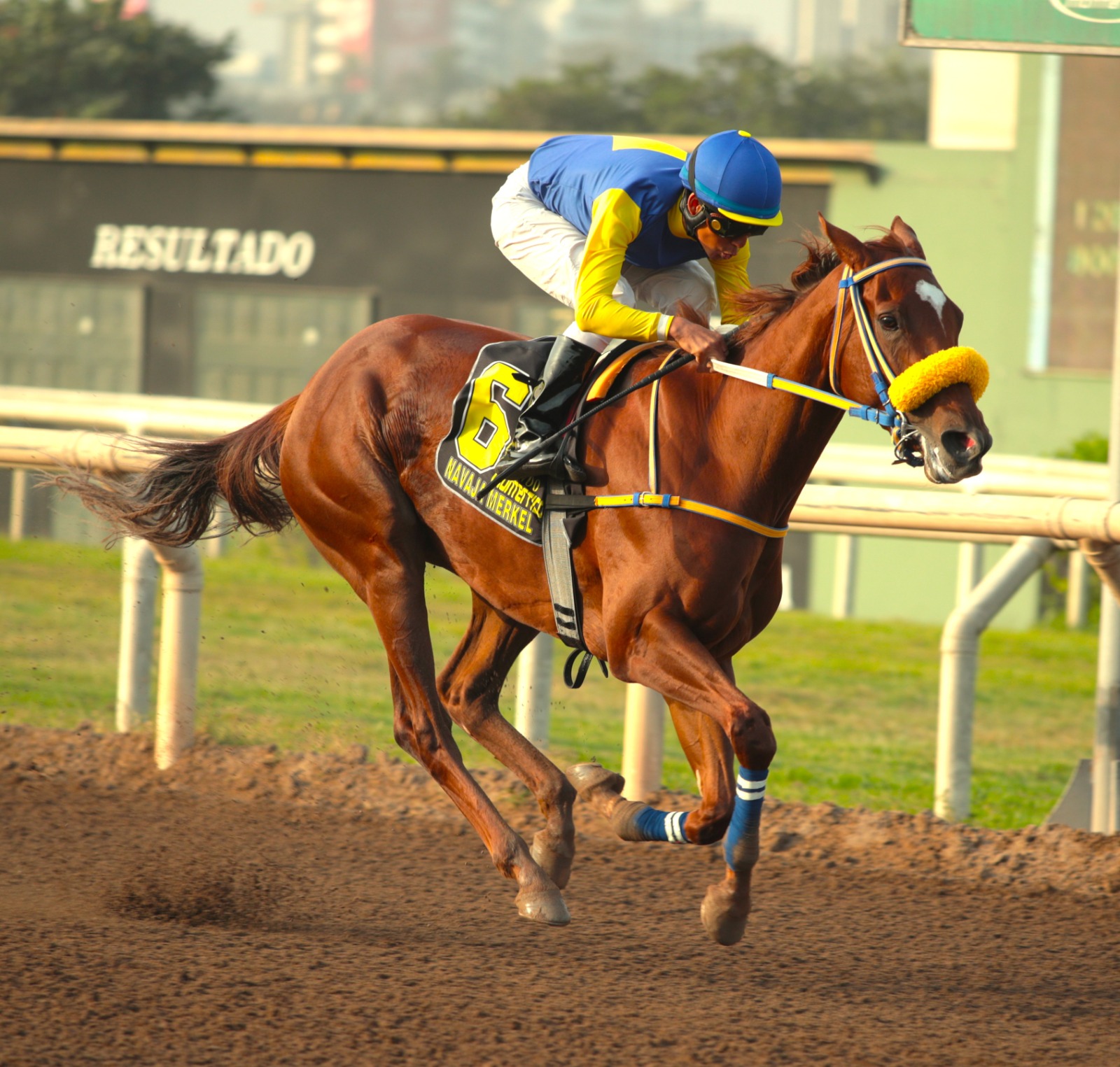 Foto: Julio Villanueva - Renzo Ramos F.D.