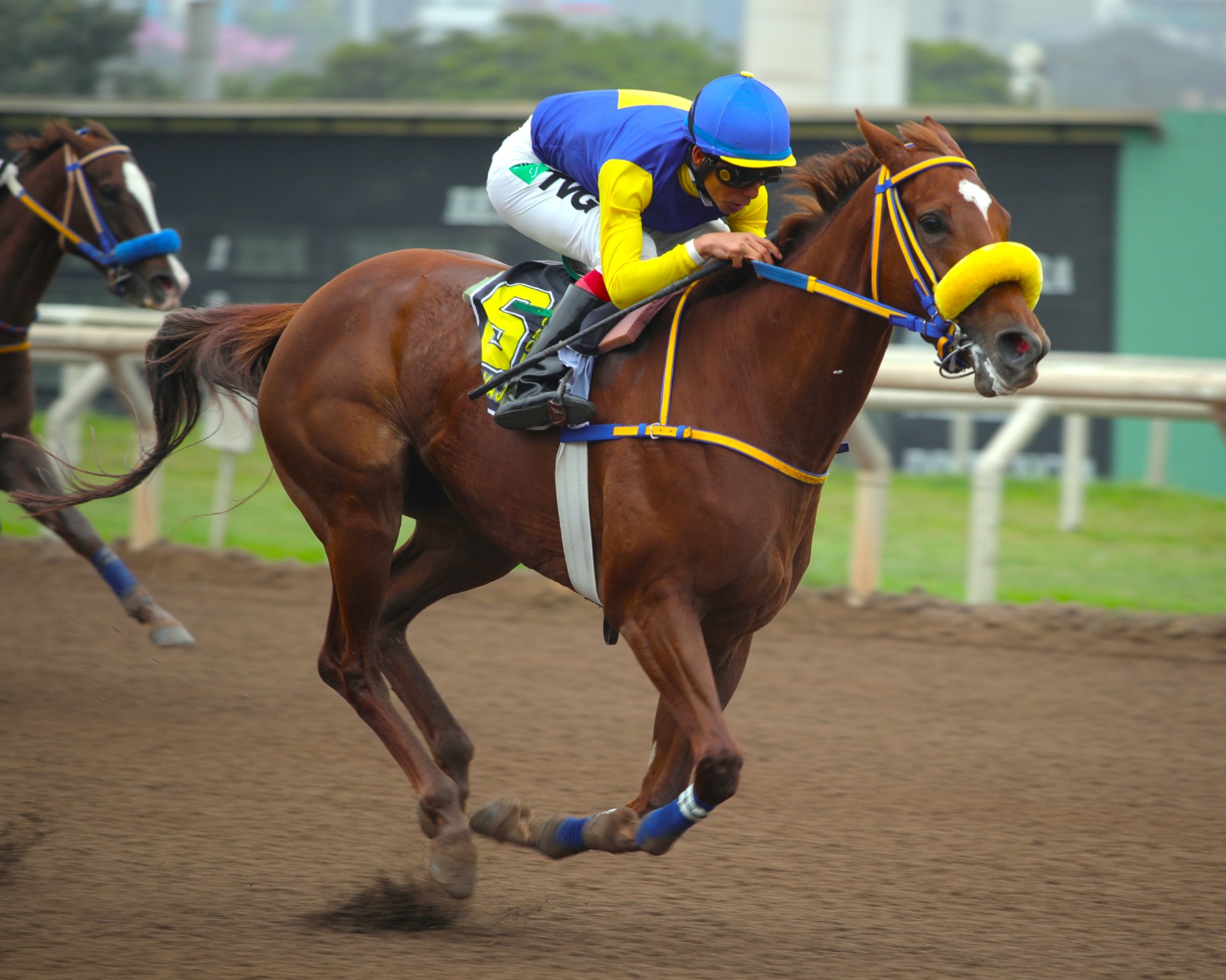 Foto: Julio Villanueva - Renzo Ramos F.D.
