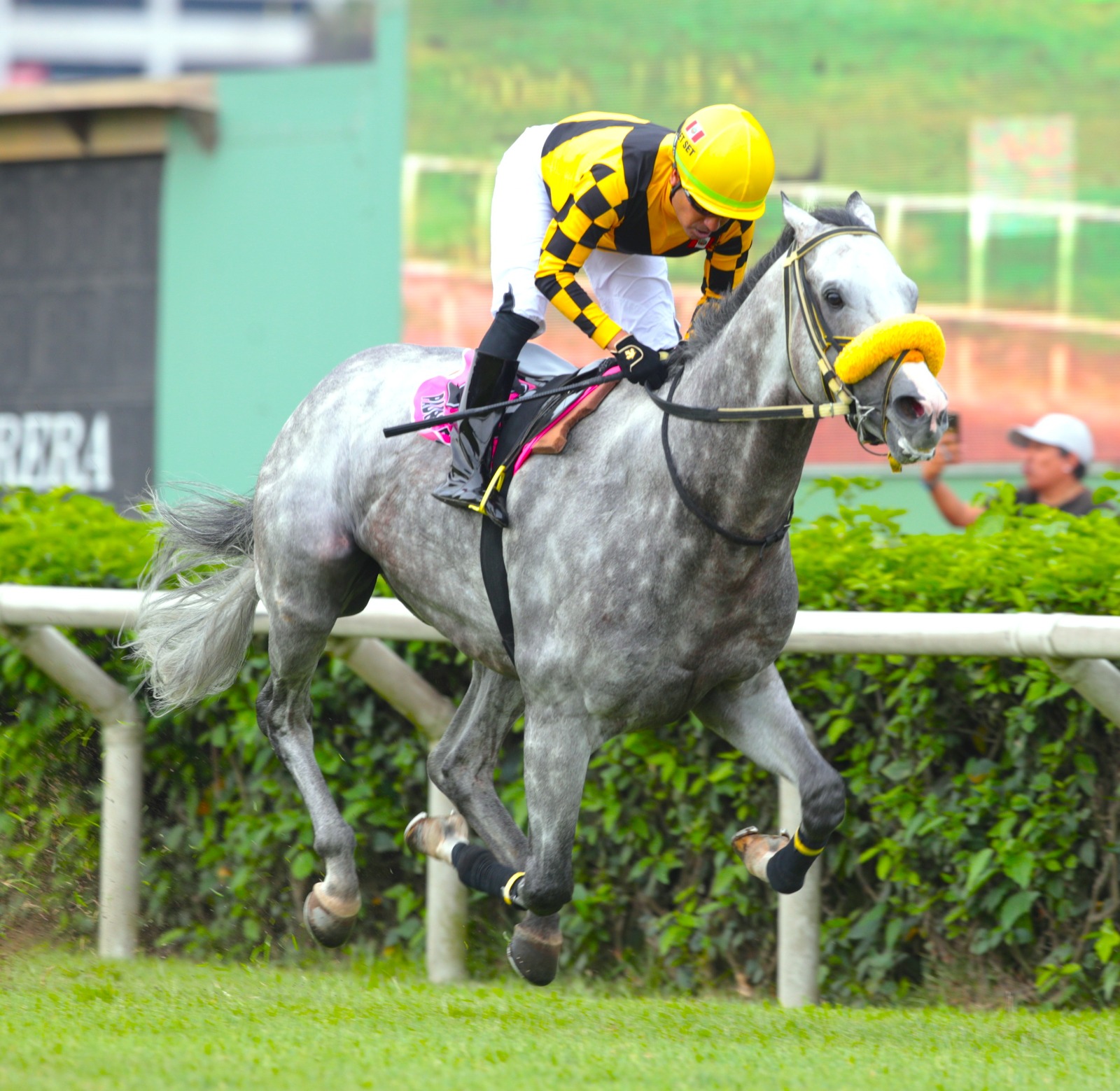  Foto: Julio Villanueva - Renzo Ramos F.D.