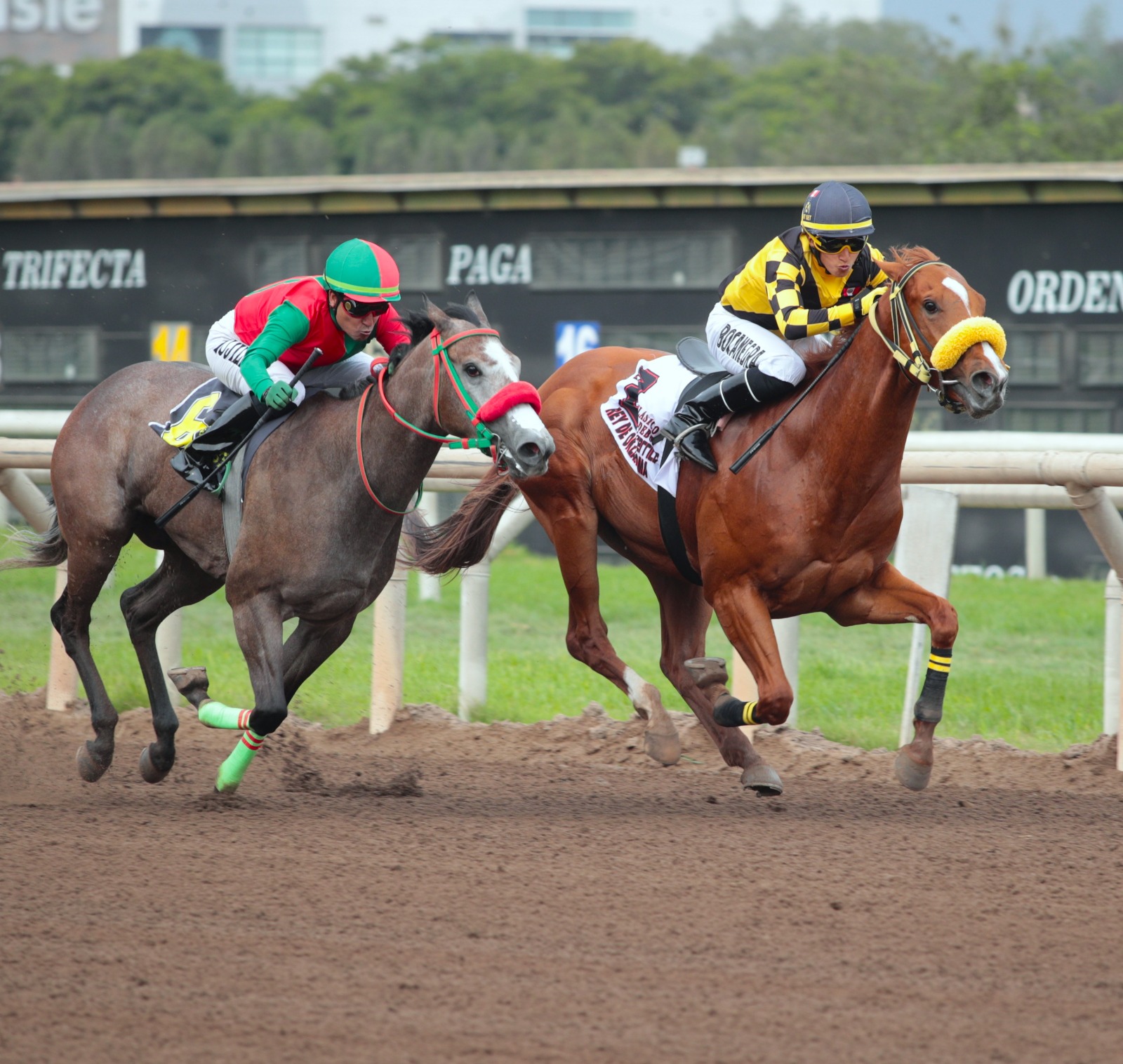 Foto: Julio Villanueva - Renzo Ramos F.D.